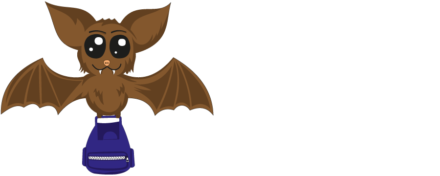 Backpackers' choice for Hostel in Cluj